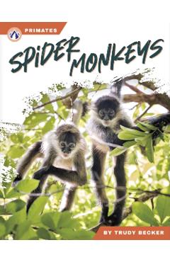 Coperta cărții 'Spider Monkeys - Trudy Becker'