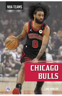 Poza produsului Chicago Bulls - Luke Hanlon