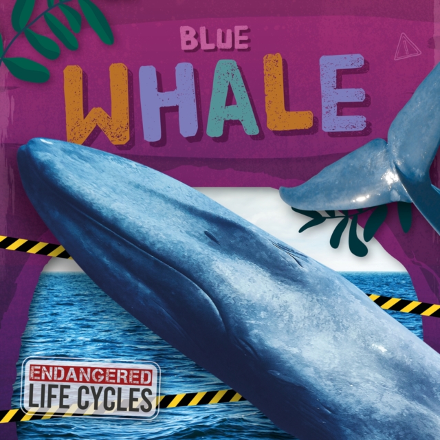 Blue Whale - E.c. Andrews