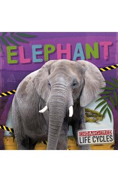 Coperta cărții 'Elephant - E.c. Andrews'