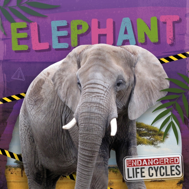 Elephant - E.c. Andrews