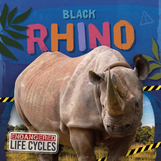Coperta cărții 'Black Rhino - E.c. Andrews'