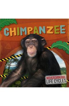 Coperta cărții 'Chimpanzee - E.c. Andrews'