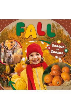 Coperta cărții 'Fall - Kirsty Holmes'