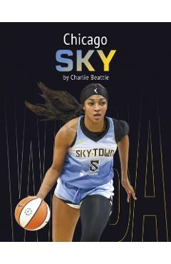 Poza produsului Chicago Sky - Charlie Beattie