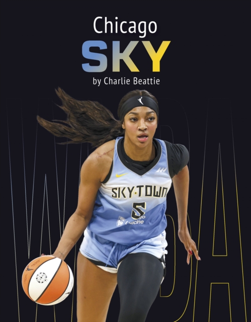 Chicago Sky - Charlie Beattie