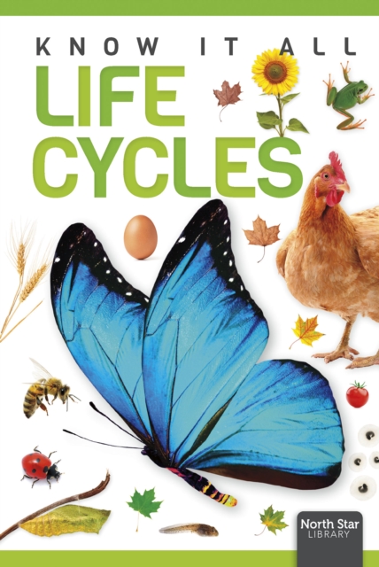 Life Cycles - Louise Nelson
