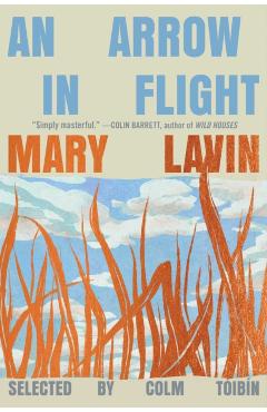 An Arrow in Flight: Selected Stories of Mary Lavin - Mary Lavin