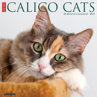 Calico Cats 2026 12 X 12 Wall Calendar -