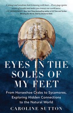 Poza produsului Eyes in the Soles of My Feet: From Horseshoe Crabs to Sycamores, Exploring Hidden Connections to the Natural World - Caroline Sutton