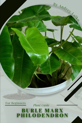 Burle Marx Philodendron: Plant Guide - Andrey Lalko