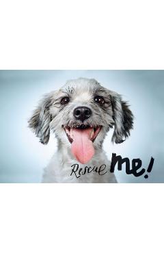 Coperta cărții 'Rescue Me: Dog Adoption Portraits and Stories from New York City - Richard Phibbs'