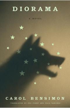 Coperta cărții 'Diorama - Carol Bensimon'