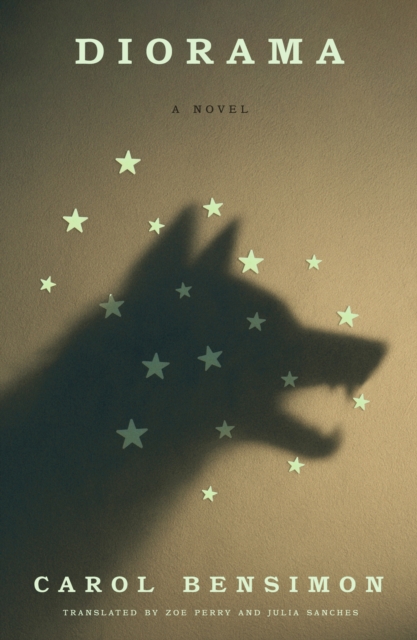 Coperta cărții 'Diorama - Carol Bensimon'