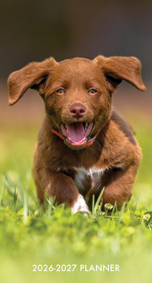 Puppy Love 2-Year 2026-27 3.5 X 6.5 Monthly Pocket Planner -