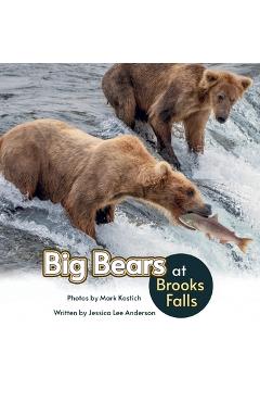 Poza produsului Big Bears at Brooks Falls - Jessica Lee Anderson