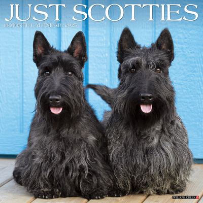Scotties 2026 12 X 12 Wall Calendar - 