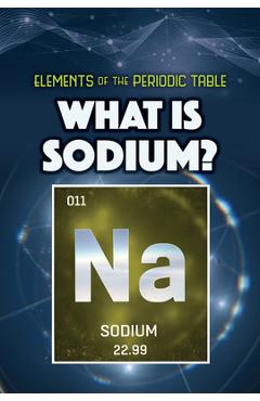 Coperta cărții 'What Is Sodium? - Kathleen A. Klatte'
