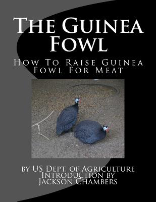 The Guinea Fowl: How To Raise Guinea Fowl For Meat - Jackson Chambers