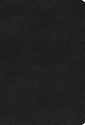 ESV Large Print Compact Bible, Red Letter (Trutone, Black) -