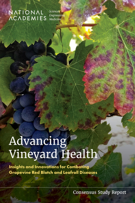 Advancing Vineyard Health: Insights and Innovations for Combating Grapevine Red Blotch and Leafroll Diseases - 