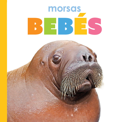 Morsas Bebés - Kim Thompson