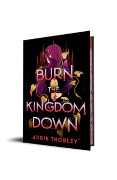 Coperta cărții 'Burn the Kingdom Down - Addie Thorley'