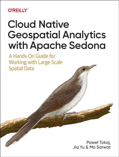 Cloud Native Geospatial Analytics with Apache Sedona - Pawel|yu Tokaj