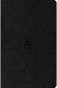 Coperta cărții 'ESV Premium Gift Bible, Red Letter (Trutone, Midnight, Flame Design) -'