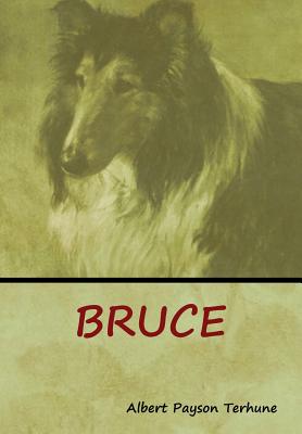 Bruce - Albert Payson Terhune