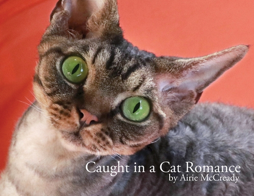 Caught in a Cat Romance - Airie Mccready