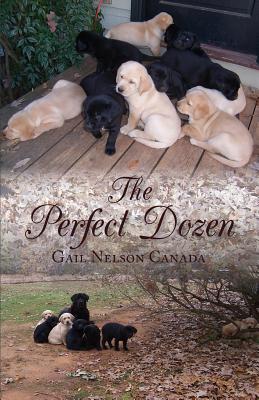The Perfect Dozen - Gail Nelson Canada