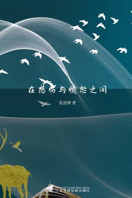 在悲伤与愤怒之间 - 涯舞 张