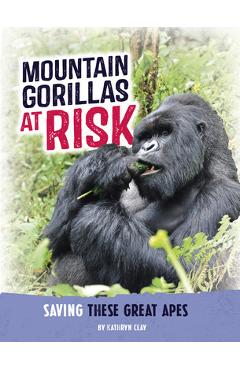 Coperta cărții 'Mountain Gorillas at Risk: Saving These Great Apes - Kathryn Clay'