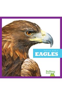 Poza produsului Eagles - Jenna Lee Gleisner