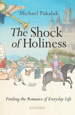 Coperta cărții 'The Shock of Holiness: The Romance of Everyday Life - Michael Pakaluk'