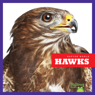 Hawks - Jenna Lee Gleisner