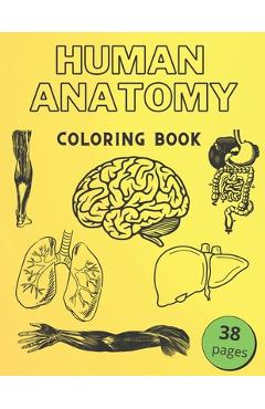 Poza produsului Human Anatomy Coloring Book: Informative Guide To The Human Body (internal organs the nervous system, reproductive systems and limbs) For Kids - Golden Human