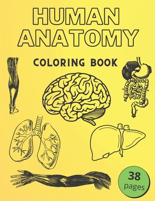 Human Anatomy Coloring Book: Informative Guide To The Human Body (internal organs the nervous system, reproductive systems and limbs) For Kids - Golden Human