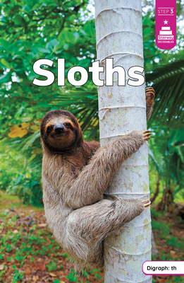 Sloths - Laura Stickney