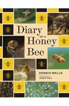 Coperta cărții 'Diary of a Honey Bee - Dennis Wells'