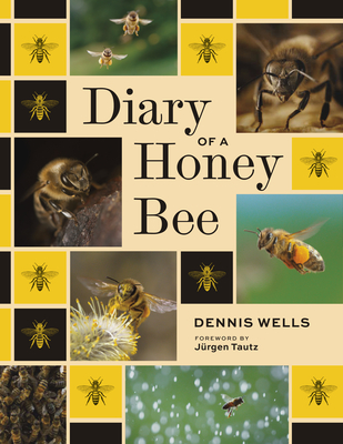 Coperta cărții 'Diary of a Honey Bee - Dennis Wells'