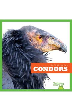 Poza produsului Condors - Jenna Lee Gleisner