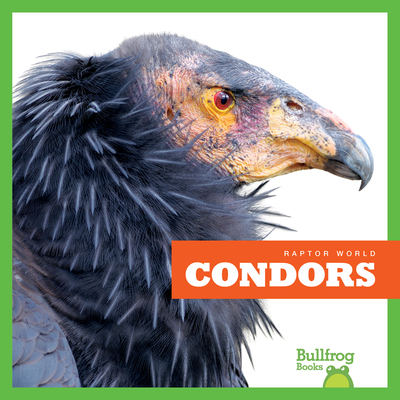 Condors - Jenna Lee Gleisner