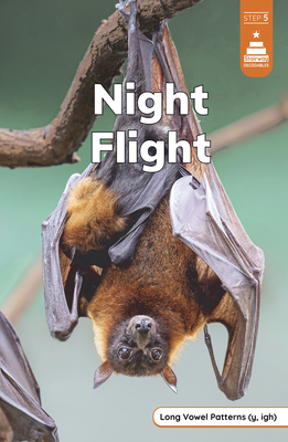 Night Flight - Marley Richmond