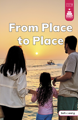 From Place to Place - Laura Stickney