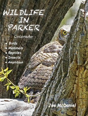 Wildlife In Parker: Colorado - Joe Mcdaniel