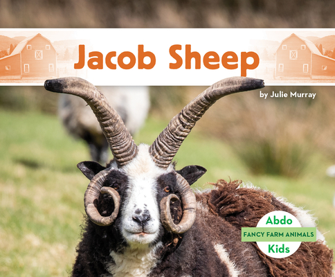 Jacob Sheep - Julie Murray
