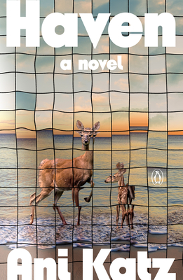 Coperta cărții 'Haven - Ani Katz'