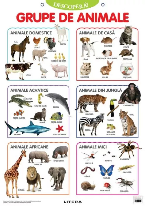 Plansa: Descopera! Grupe de animale